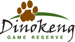 Dinokeng Game Reserve